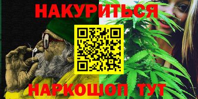 гидра Долгопрудный