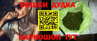 гидра Долгопрудный