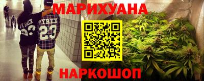 гидра Долгопрудный
